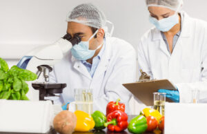 ISO 22000 Inocuidad Alimentaria