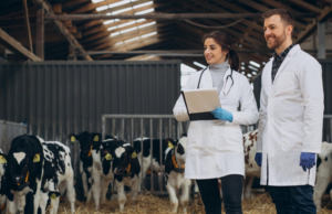 Prestación de Servicios auxiliares en establecimientos médicos veterinarios zootecnistas